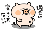 45612366