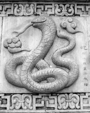 si-snake