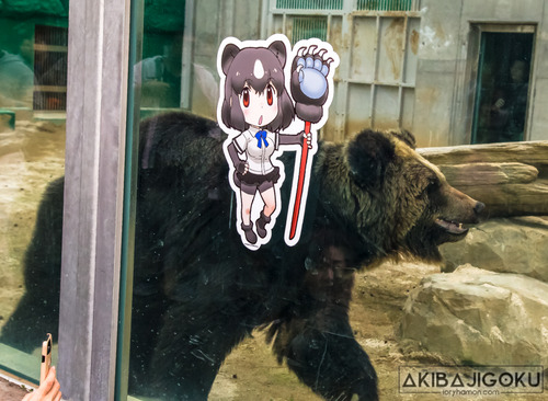 509