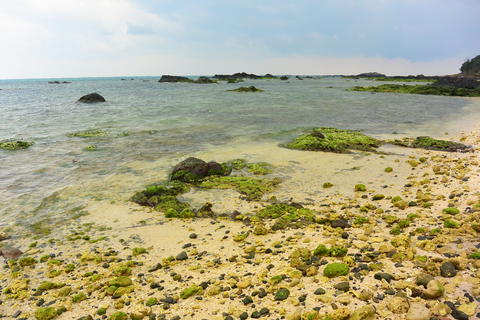 aDSC_5504s