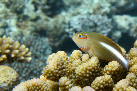 aDSC_5813s