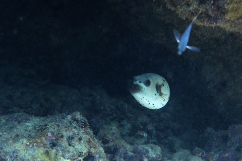 aDSC_5616s