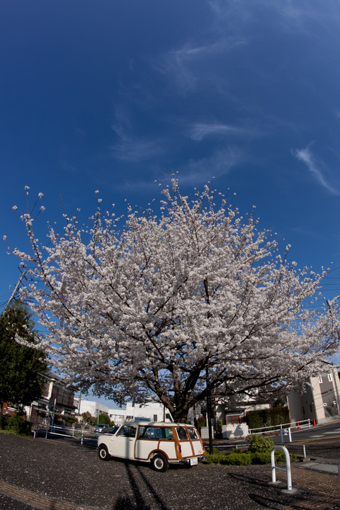 atIMG_0003