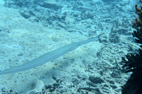 aDSC_5685s