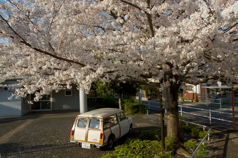aIMG_0041