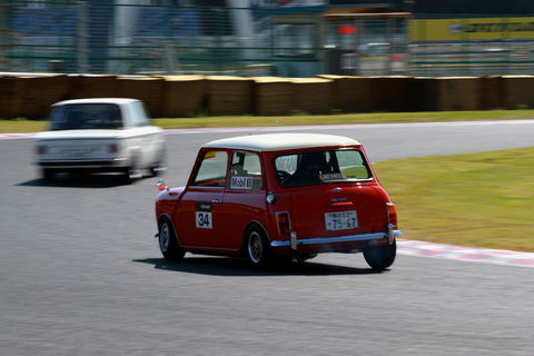 mini-1