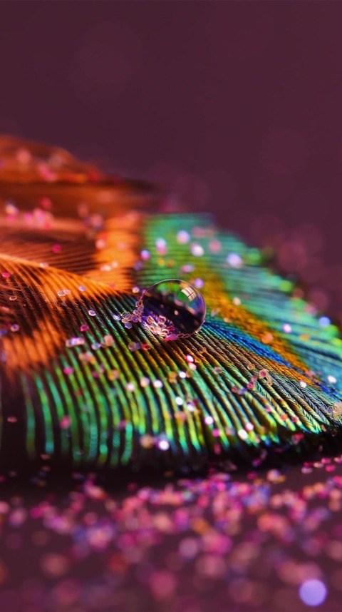 1826_wallpaper_89021590_iPhone6