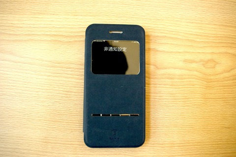 IMGP6768 のコピー