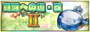 覚醒への道・改II