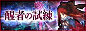 醒者の試練