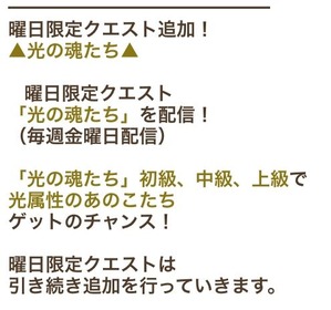 光の魂たち
