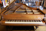bechstein