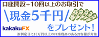KAKAKUFX¡¡¥¥ã¥ó¥Ú¡¼¥ó¡¡5000±ß¥×¥ì¥¼¥ó¥È