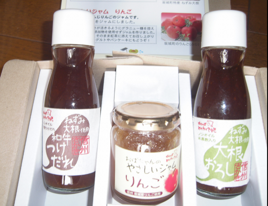 株主優待：日精樹脂工業