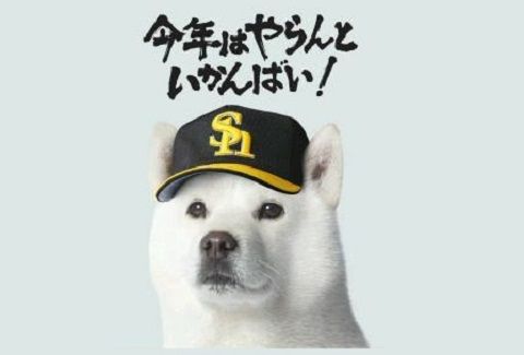 softbank1