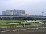 70e37a69.JPG