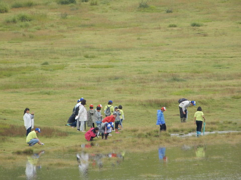 kusasennri (2)