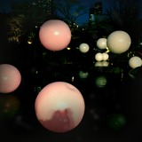 shot_1332580854221