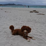 IMG_20190505_142001_766
