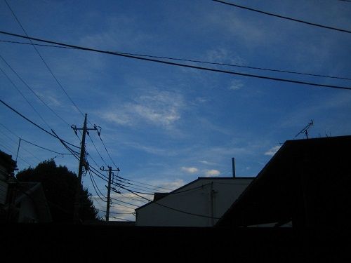 IMG_4809