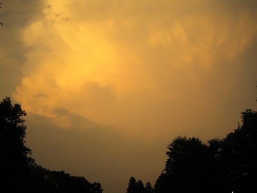 IMG_4340