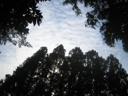 IMG_4199