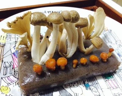 写真 2014-03-24 8 35 07