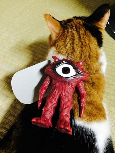 写真 (35)