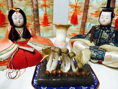 写真 2014-03-24 8 41 42