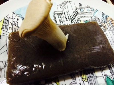 写真 2014-03-23 17 41 24
