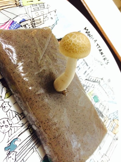 写真 2014-03-23 17 39 31