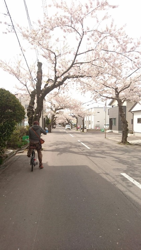 namiki
