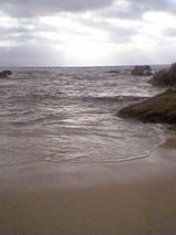 海