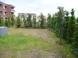 ½¾ÍèÎв½