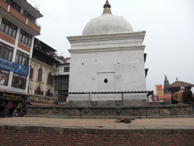 CIMG0555