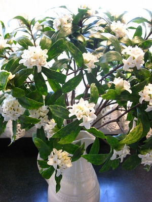 R0013482