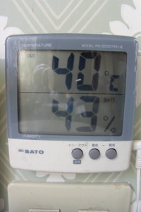 RIMG0001