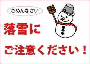 120122snowfall