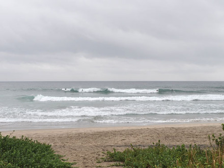 DSC_1962