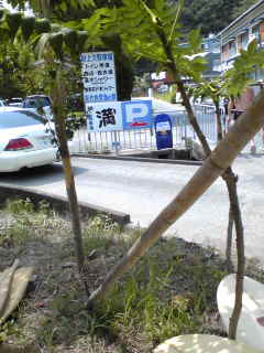 df0095b2.jpg
