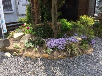 thumbnail_IMG_3767