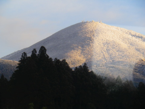 IMGP2433
