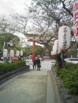 5c0f0871.jpg