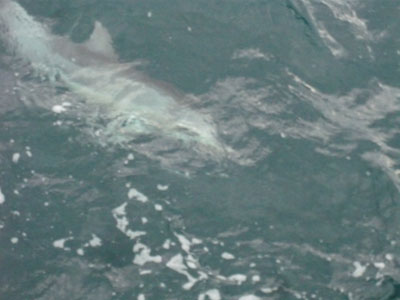 ip100108 02800