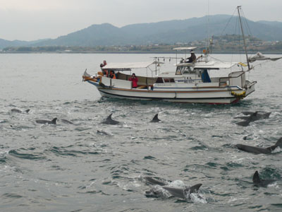 ip100115 01300
