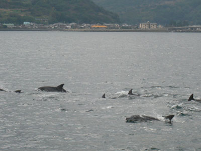 ip100108 00400