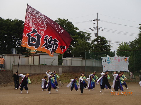 白獅子