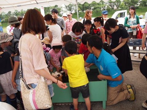 移動動物園