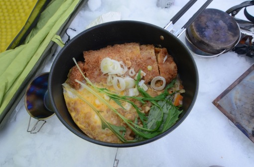 2013y05m21d_170118581