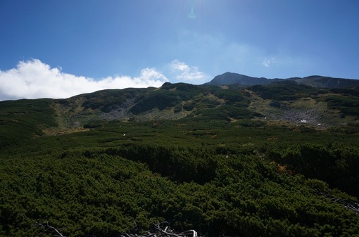 2013y12m07d_141429230